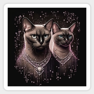 Luxury Burmese Cats Sticker